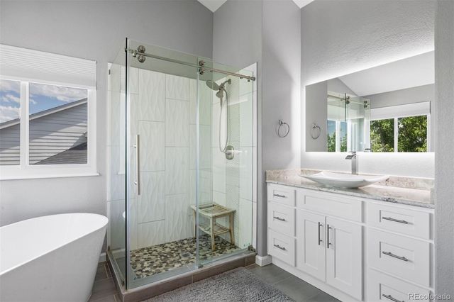 1720 Wild Rye Court, Castle Rock, CO 80109