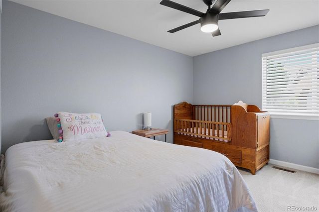 1720 Wild Rye Court, Castle Rock, CO 80109