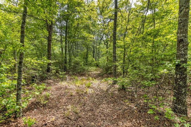 200 Swann Rd, Manchester, TN 37355