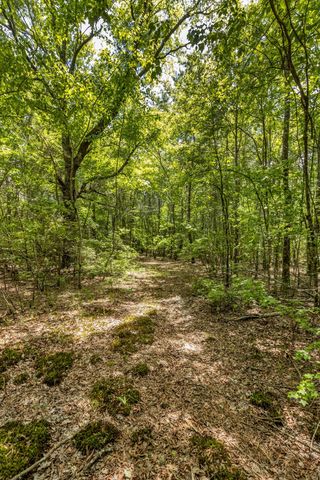 200 Swann Rd, Manchester, TN 37355