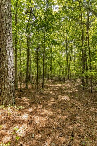200 Swann Rd, Manchester, TN 37355