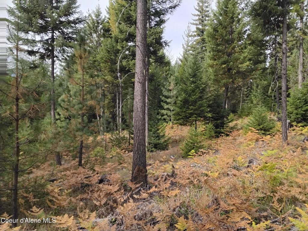 NKA-292 Ac Highway 2, Moyie Springs, ID 83845 photo 12