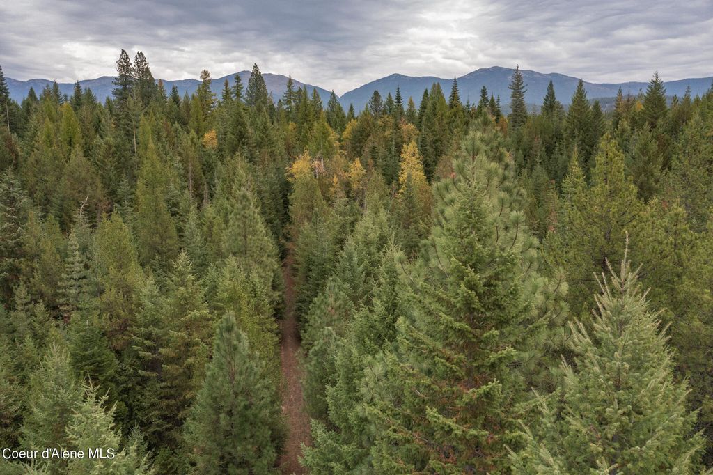 NKA-292 Ac Highway 2, Moyie Springs, ID 83845 photo 19