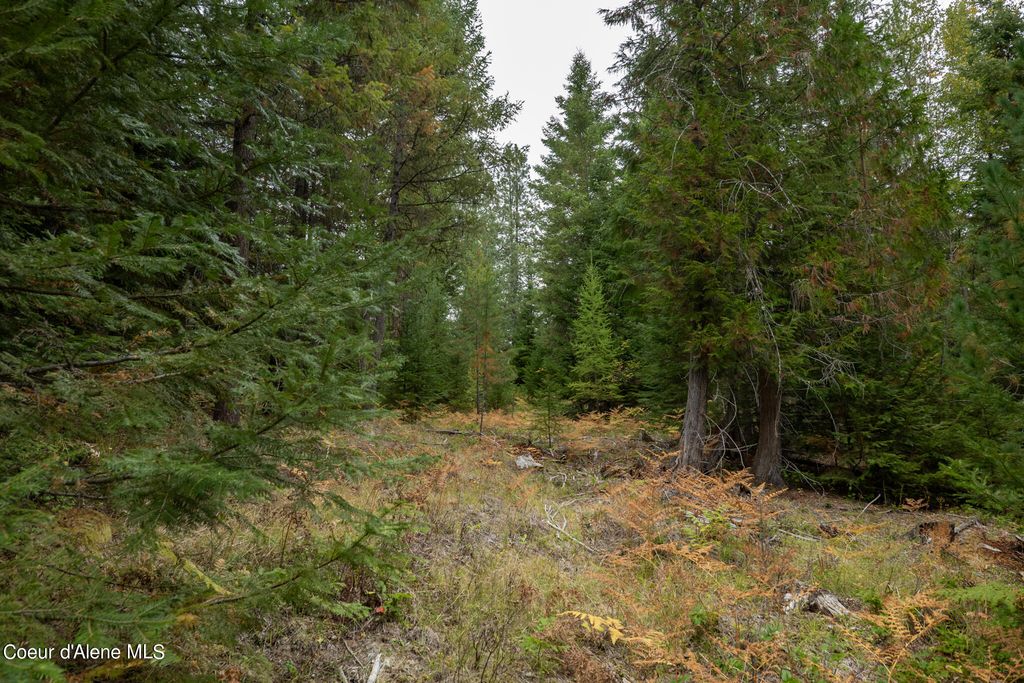 NKA-292 Ac Highway 2, Moyie Springs, ID 83845 photo 22