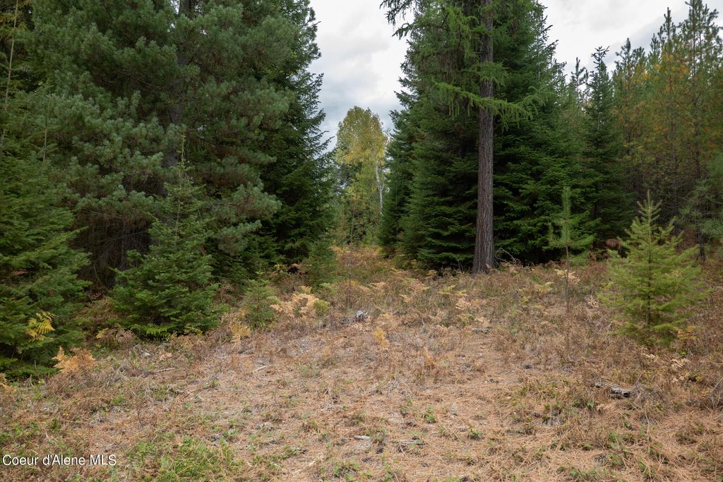 NKA-292 Ac Highway 2, Moyie Springs, ID 83845 photo 23