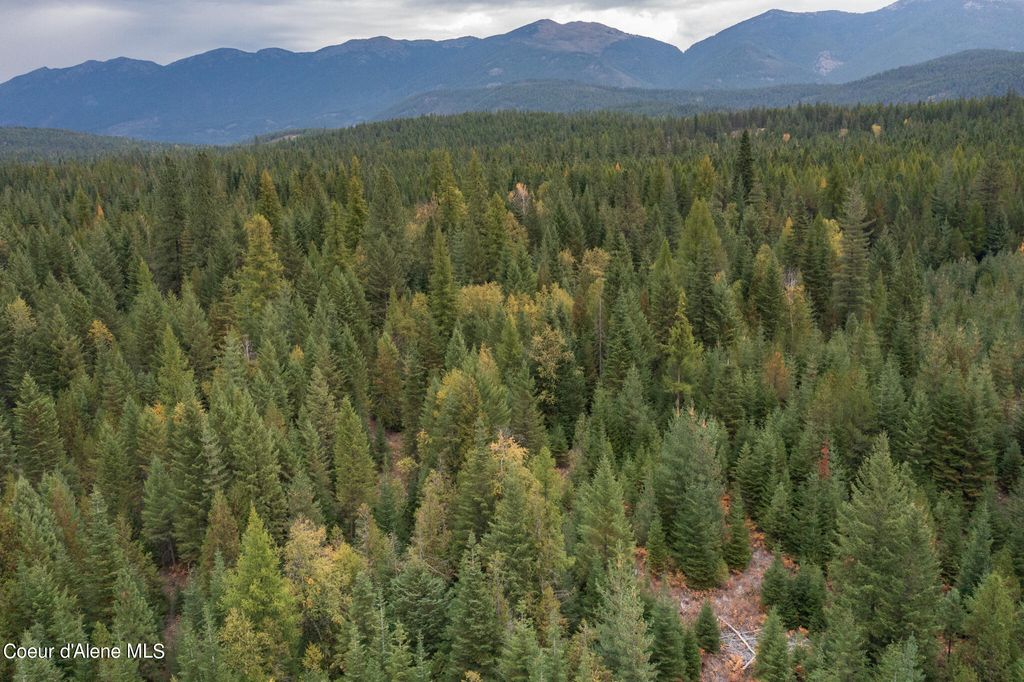 NKA-292 Ac Highway 2, Moyie Springs, ID 83845 photo 28