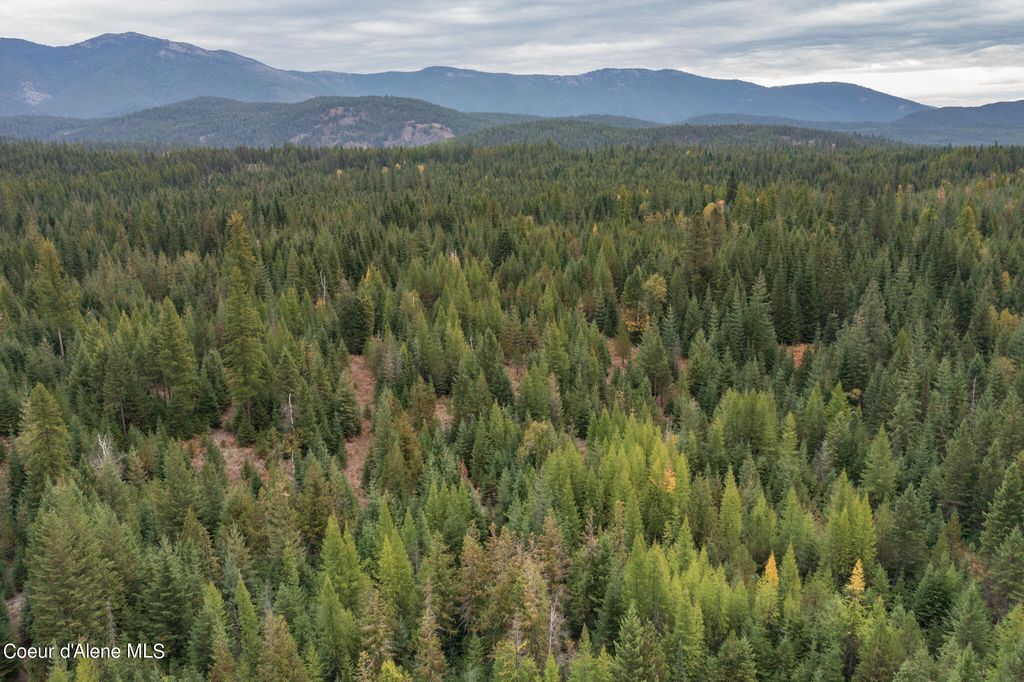 NKA-292 Ac Highway 2, Moyie Springs, ID 83845 photo 30