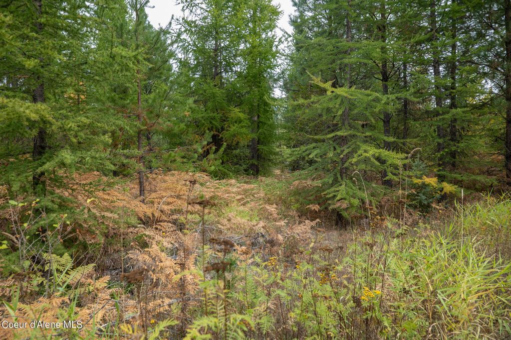 NKA-292 Ac Highway 2, Moyie Springs, ID 83845 photo 48