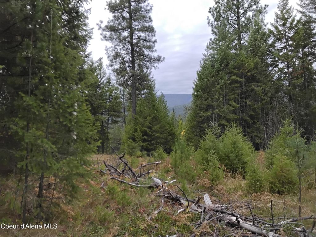 NKA-292 Ac Highway 2, Moyie Springs, ID 83845 photo 69