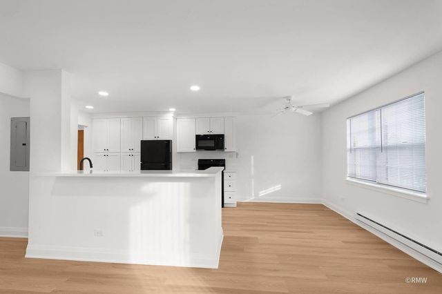 224 S Rush Street 3A, Itasca, IL 60143