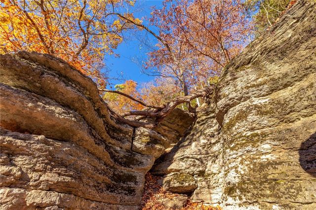 2277 County Road 507, Berryville, AR 72616