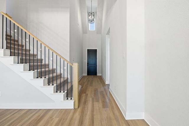 9022 Wildberry Road, Oak Point, TX 75068