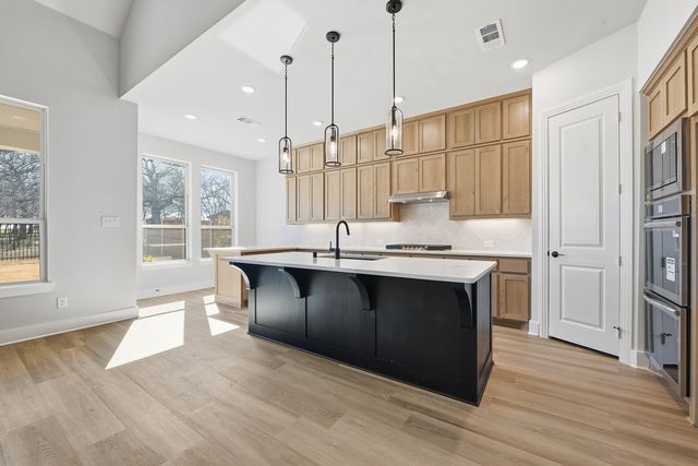 9022 Wildberry Road, Oak Point, TX 75068