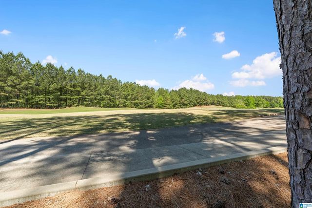 301 KILKERRAN LANE, Pelham, AL 35124