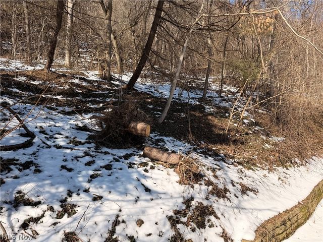 8587 County Road 15, Rayland, OH 43943