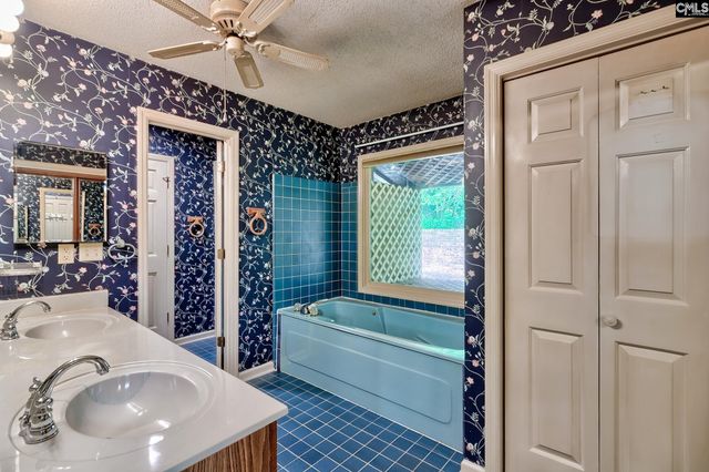 208 Valley Vine Court, Irmo, SC 29063