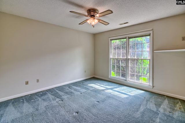 208 Valley Vine Court, Irmo, SC 29063