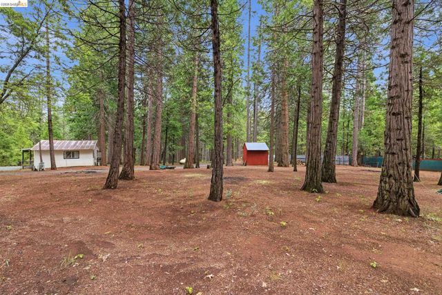 19979 Mountain Misery, Twain Harte, CA 95383