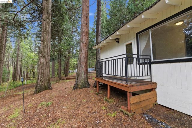 19979 Mountain Misery, Twain Harte, CA 95383