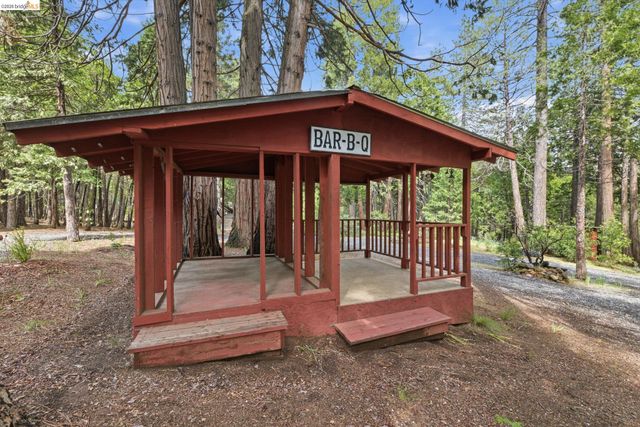 19979 Mountain Misery, Twain Harte, CA 95383