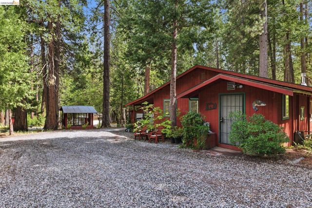 19979 Mountain Misery, Twain Harte, CA 95383