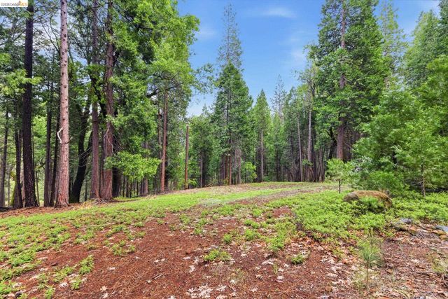 19979 Mountain Misery, Twain Harte, CA 95383