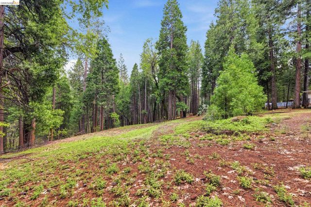 19979 Mountain Misery, Twain Harte, CA 95383