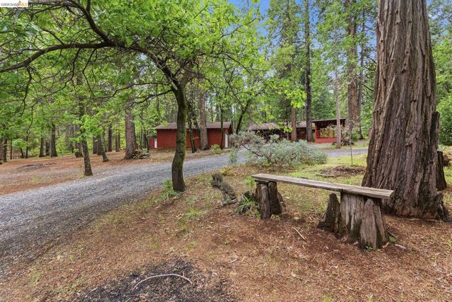 19979 Mountain Misery, Twain Harte, CA 95383