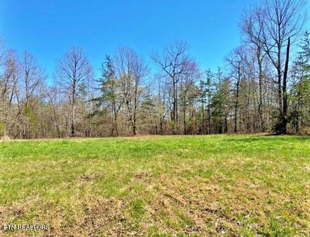 Lot 9 Crest View Drive, Sunbright, TN 37872