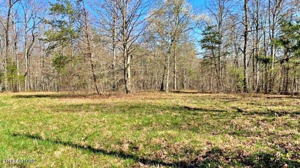 Lot 9 Crest View Drive, Sunbright, TN 37872