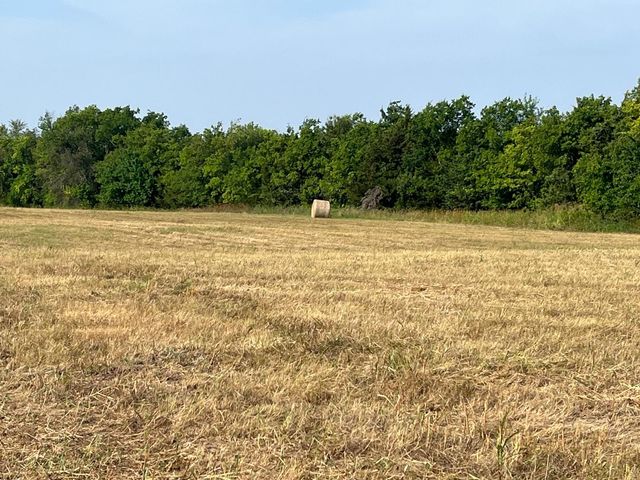 17560 E Fm 1396, Windom, TX 75492