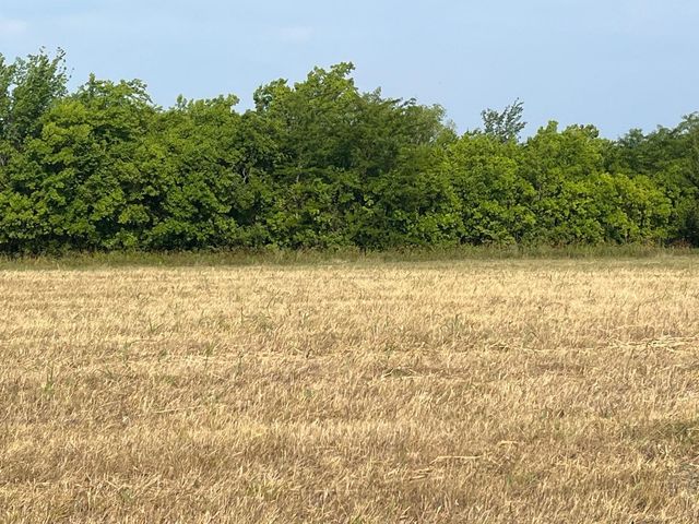 17560 E Fm 1396, Windom, TX 75492