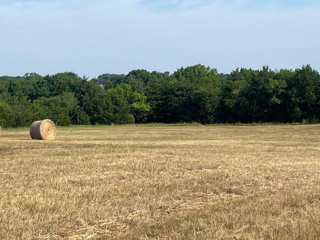 17560 E Fm 1396, Windom, TX 75492