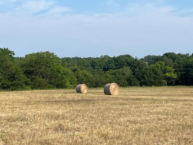 17560 E Fm 1396, Windom, TX 75492