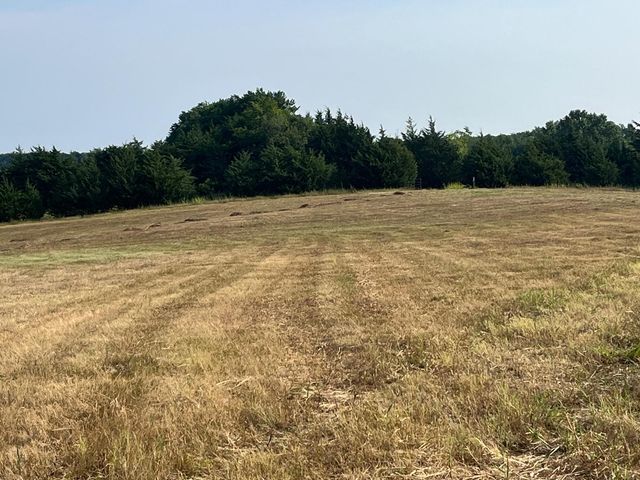 17560 E Fm 1396, Windom, TX 75492