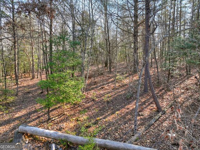 LOT 233 Ridge Pointe Way, Blairsville, GA 30512