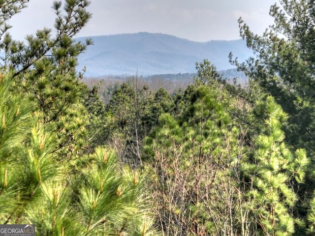 LOT 233 Ridge Pointe Way, Blairsville, GA 30512