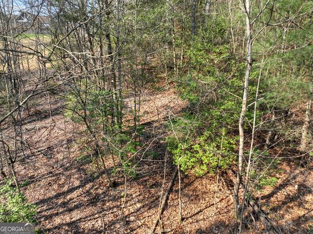 LOT 233 Ridge Pointe Way, Blairsville, GA 30512