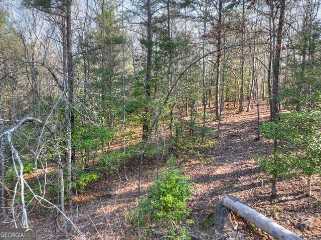 LOT 233 Ridge Pointe Way, Blairsville, GA 30512