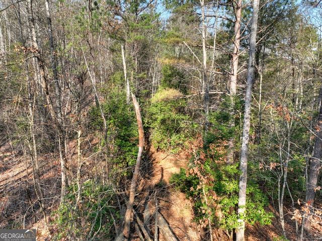 LOT 233 Ridge Pointe Way, Blairsville, GA 30512