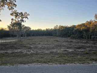 SW 136TH CT. RD, Dunnellon, FL 34432