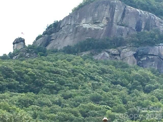 0 Poodles Way 291, Lake Lure, NC 28746