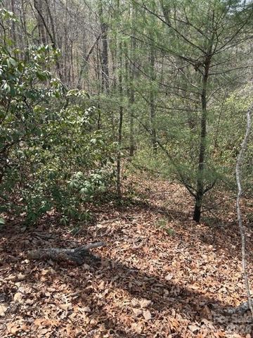 0 Poodles Way 291, Lake Lure, NC 28746