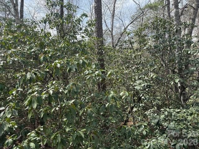 0 Poodles Way 291, Lake Lure, NC 28746