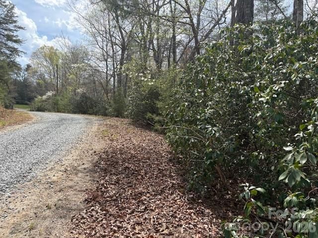 0 Poodles Way 291, Lake Lure, NC 28746