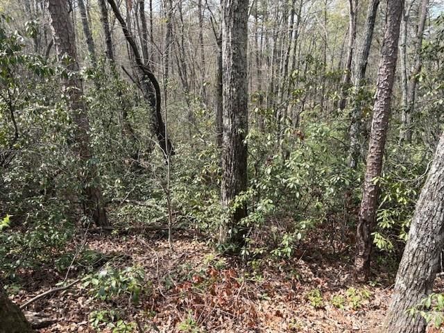0 Poodles Way 291, Lake Lure, NC 28746