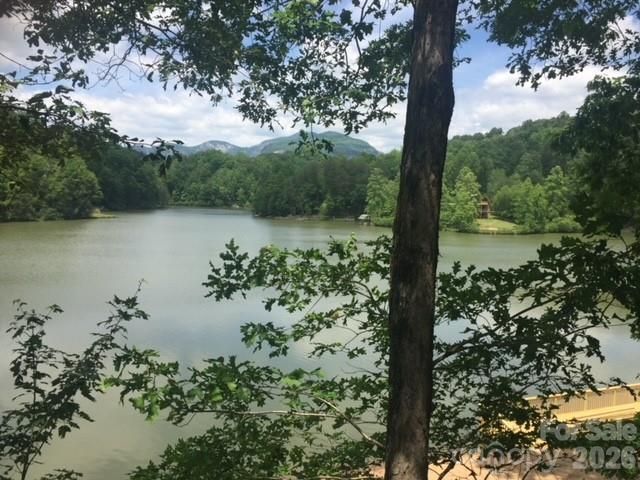 0 Poodles Way 291, Lake Lure, NC 28746