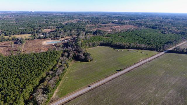 0 Rocks Pond Road Lot S, Eutawville, SC 29048