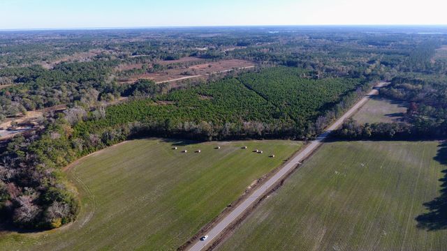 0 Rocks Pond Road Lot S, Eutawville, SC 29048