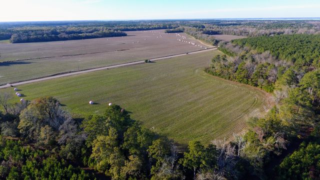 0 Rocks Pond Road Lot S, Eutawville, SC 29048